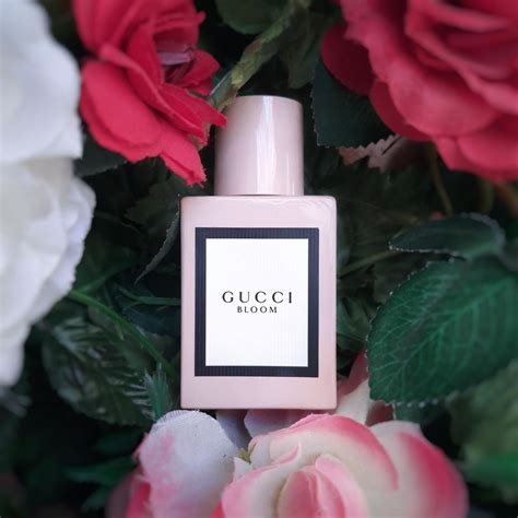 profumo di gucci|gucci bloom perfume knock off.